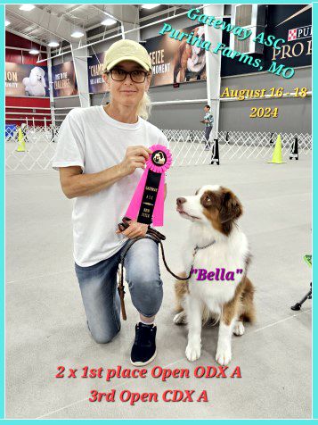 Obedience and Rally